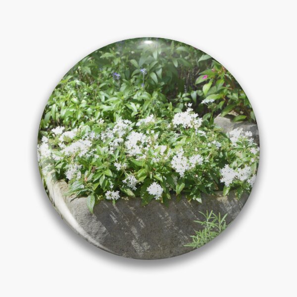 Item preview, Jardinera de piedra llena de flores blancas designed and sold by d-camp.