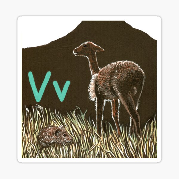 V is for Vole & Vicuna Sticker