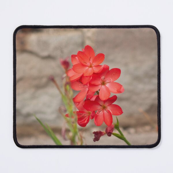 Item preview, pink flowers designed and sold by Francespoppy.