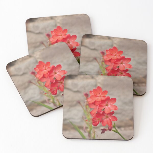 Item preview, pink flowers designed and sold by Francespoppy.