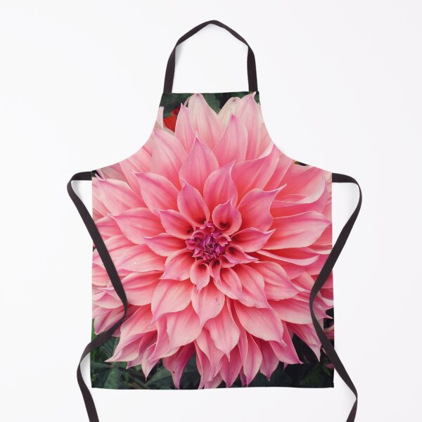 Item preview, Pink dahlia designed and sold by Maxiverse.