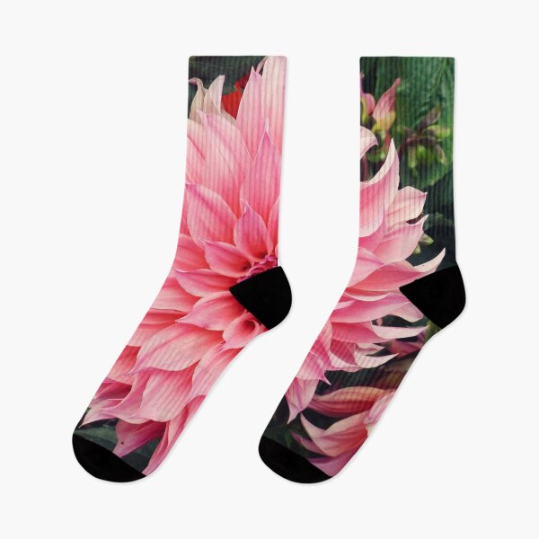 Item preview, Pink dahlia designed and sold by Maxiverse.
