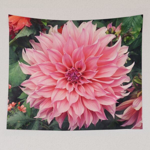 Item preview, Pink dahlia designed and sold by Maxiverse.