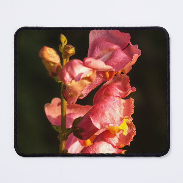 Item preview, pink flowers designed and sold by Francespoppy.