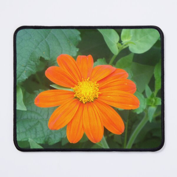 Item preview, Flor naranja designed and sold by d-camp.