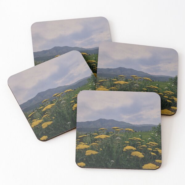 Item preview, View from Forsberg Iron Spring Park with Fern-leaf yarrow designed and sold by chillbilldill.