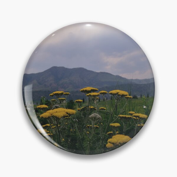 Item preview, View from Forsberg Iron Spring Park with Fern-leaf yarrow designed and sold by chillbilldill.