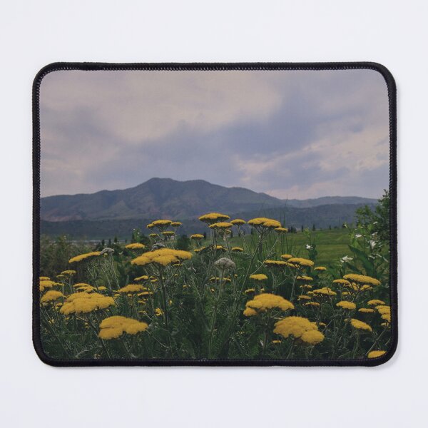 Item preview, View from Forsberg Iron Spring Park with Fern-leaf yarrow designed and sold by chillbilldill.