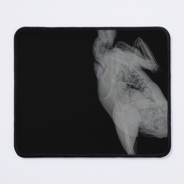 Item preview, Rooster X-Ray designed and sold by Daniel Tuttle.