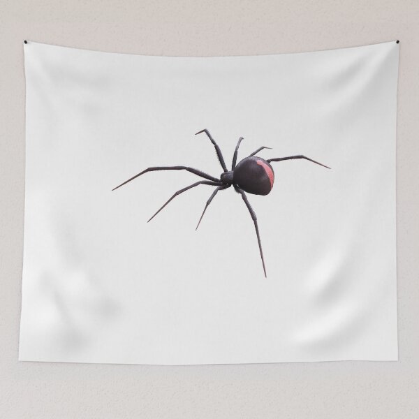 Item preview, Spider with long legs designed and sold by Zip-Zup.