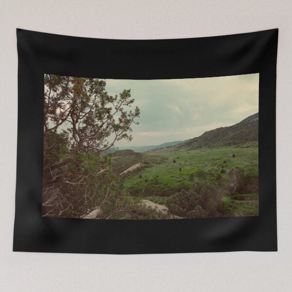 Item preview, Matthews Winters Park in Golden Colorado designed and sold by chillbilldill.