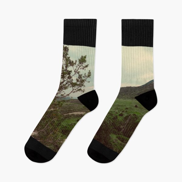 Item preview, Matthews Winters Park in Golden Colorado designed and sold by chillbilldill.