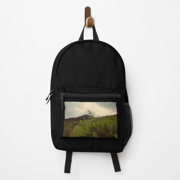 Item preview, Hungarian Brome at Matthews Winters Park in Golden Colorado designed and sold by chillbilldill.