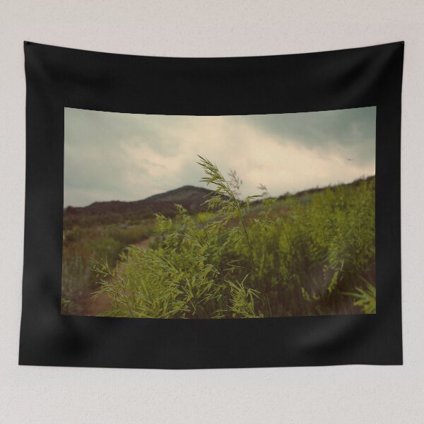 Item preview, Hungarian Brome at Matthews Winters Park in Golden Colorado designed and sold by chillbilldill.