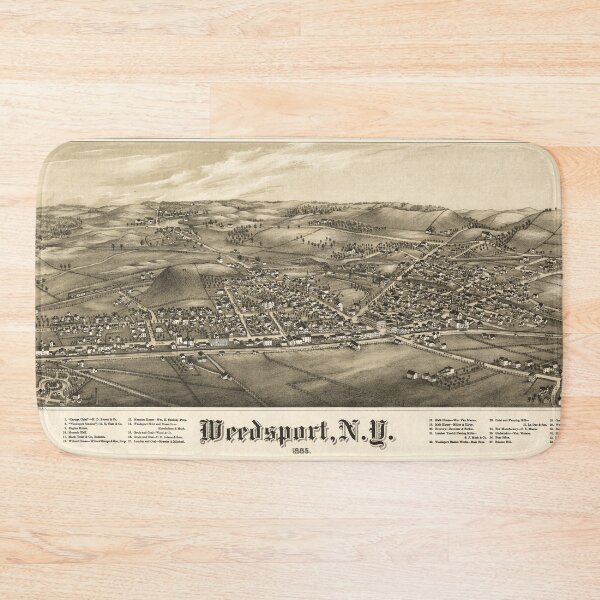 Item preview, Weedsport, New York (1885) designed and sold by allhistory.