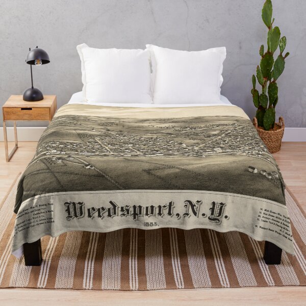 Item preview, Weedsport, New York (1885) designed and sold by allhistory.