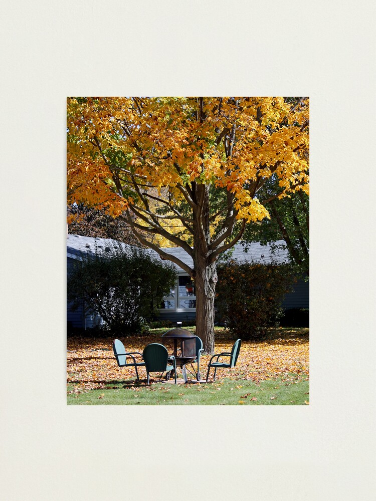 Alternate view of Vestiges of Summer Photographic Print