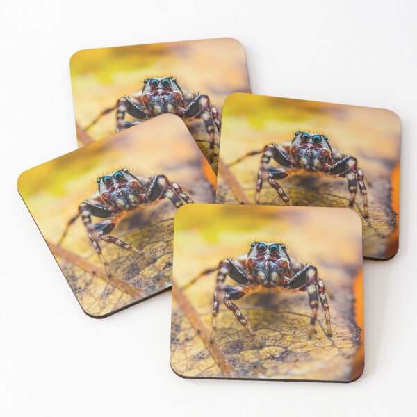 Item preview, Araña saltadora gruñona - Salticid designed and sold by AronsTinySafari.