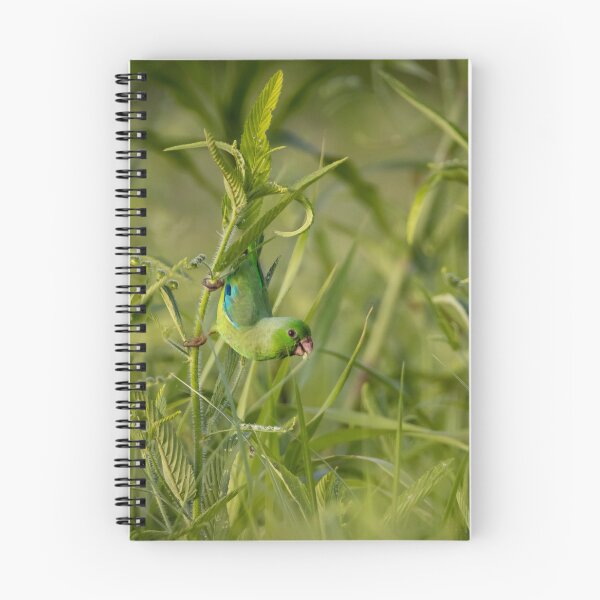 Item preview, Green-Rumped Parrotlet designed and sold by Wes Goorachan.