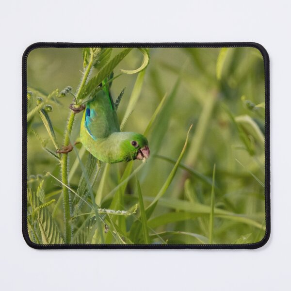 Item preview, Green-Rumped Parrotlet designed and sold by Wes Goorachan.