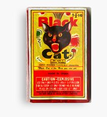 Black Cat Fireworks Metal Print