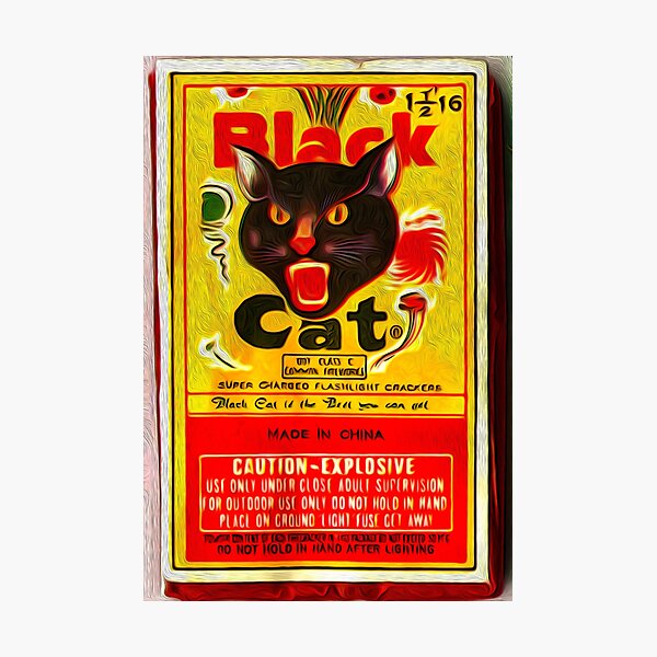 Black Cat Fireworks Photographic Print