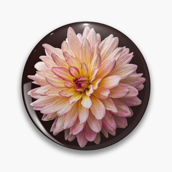 Item preview, Lovely Single Chrysanthemum designed and sold by TTDean.