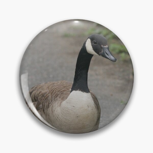 Item preview, canda goose portrait  designed and sold by The-gamming-fox.
