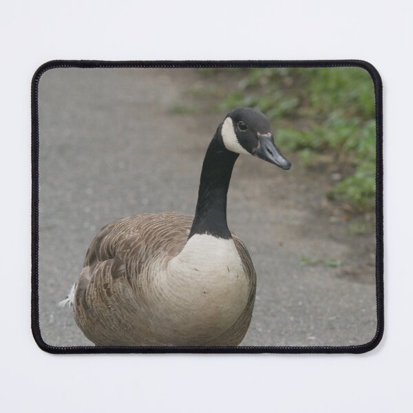 Item preview, canda goose portrait  designed and sold by The-gamming-fox.