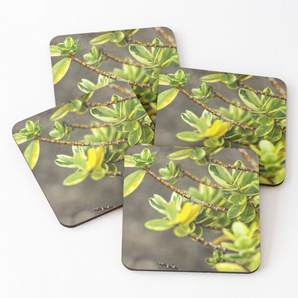 Item preview, green plant designed and sold by Francespoppy.