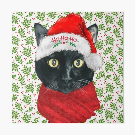 絵本・英語　Santa's HAT　著者:Linda Bleck Santa's Hat