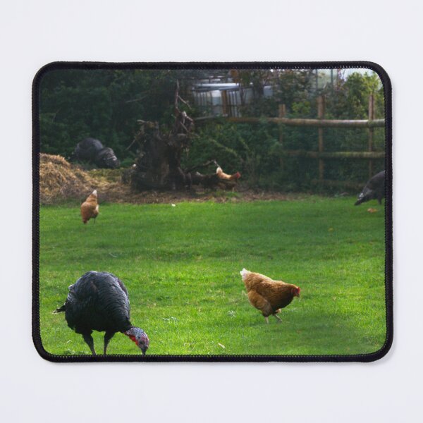 Item preview, turkeys and chickens designed and sold by Francespoppy.