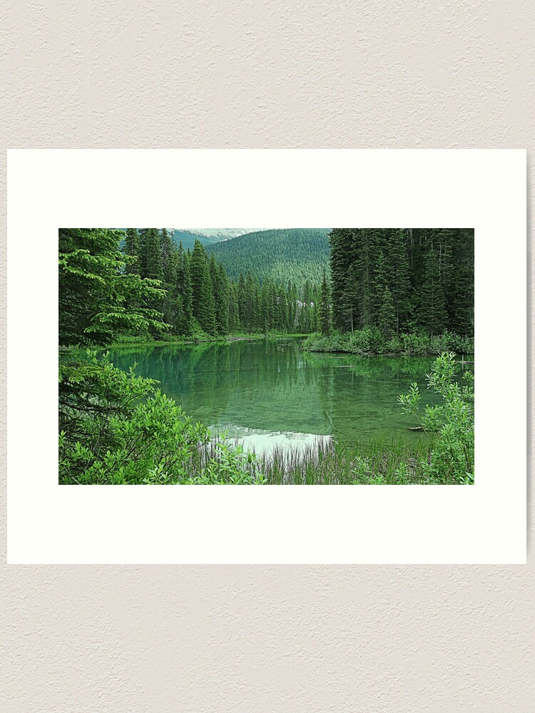 Alternate view of Emerald Lake Art Print