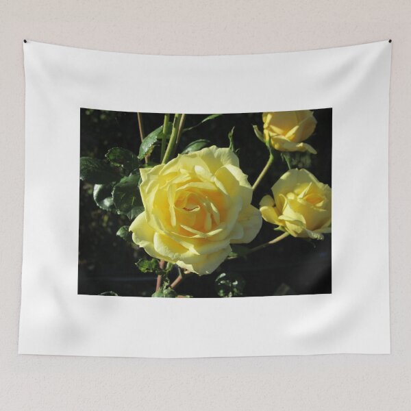 Item preview, November Roses designed and sold by lezvee.