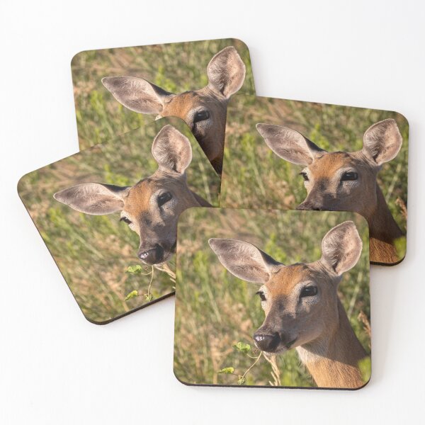 Item preview, Mule Deer Saying Hello designed and sold by jecphotography and art.