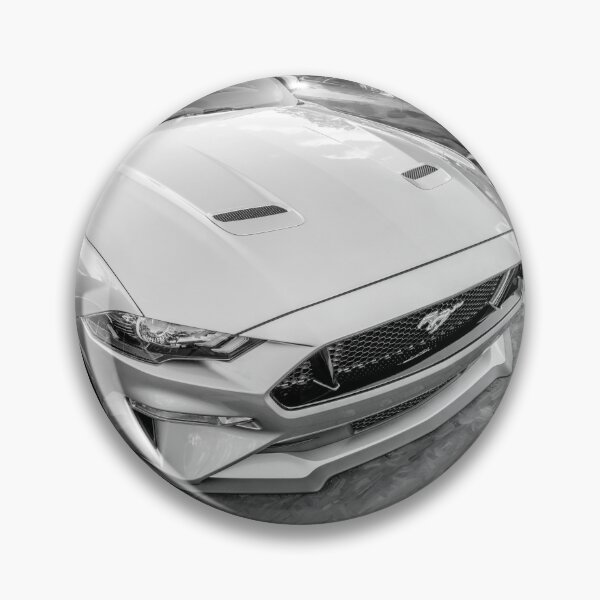 Item preview, 2021 Silver Ford Mustang GT 5.0 Premium X151 designed and sold by RichFrancoCars.