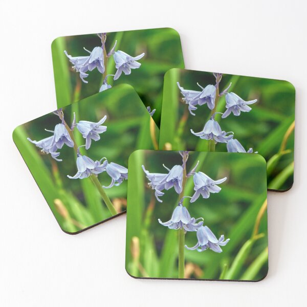 Item preview, Bluebells designed and sold by Tom McPherson Photography.