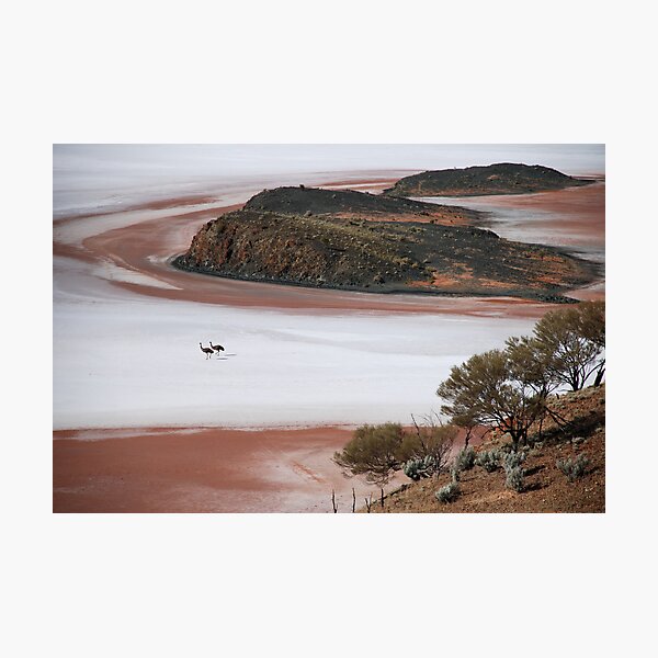 Lake Ballard Emus Photographic Print
