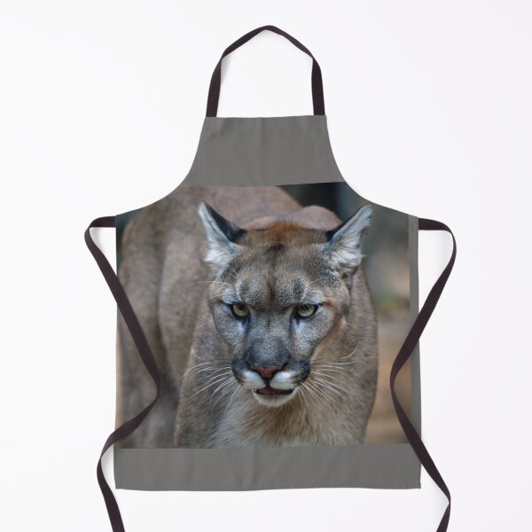 Artikelvorschau, Puma entworfen und verkauft von Savannah Gibbs.