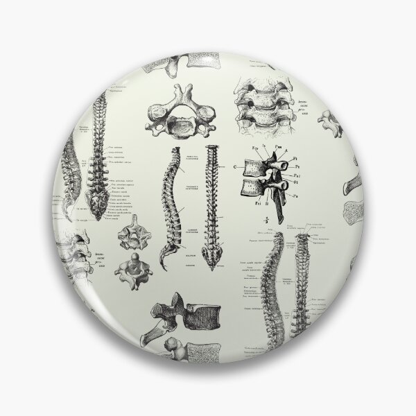 Item preview, Vintage human anatomy  designed and sold by Preslava Genova.