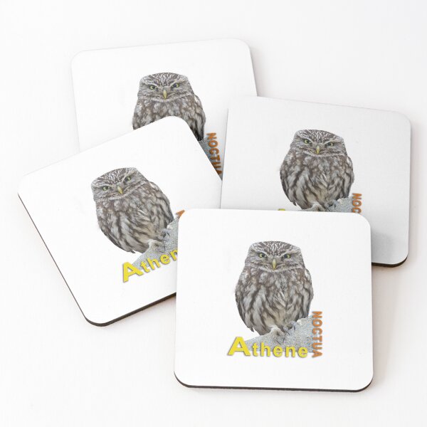 Item preview, Little owl Athene noctua designed and sold by sgrphotography.