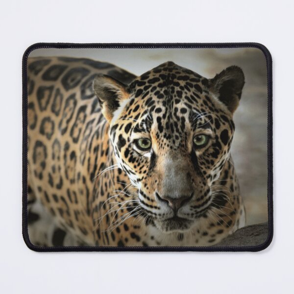 Item preview, Eye Contact designed and sold by Savannah Gibbs.