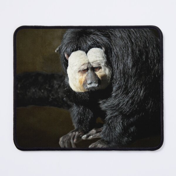 Item preview, White-faced Saki designed and sold by Savannah Gibbs.