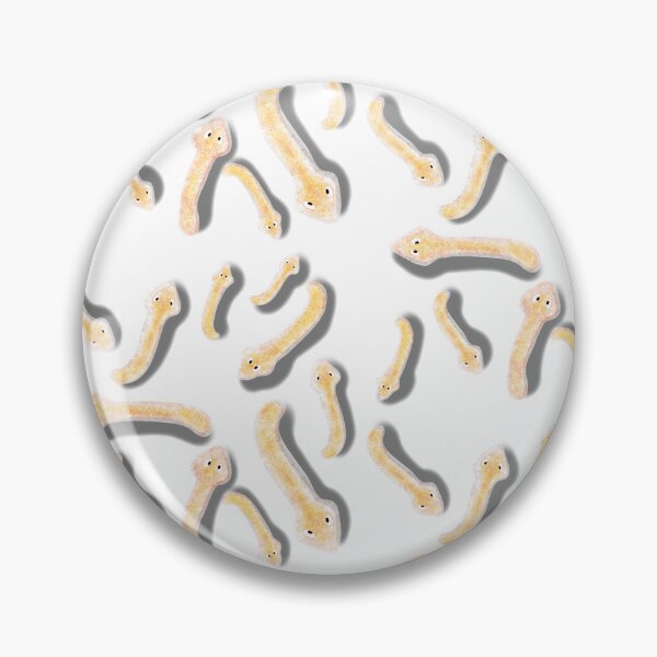 Item preview, Planaria model designed and sold by Osher-BioArt.