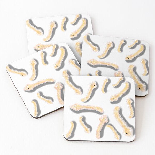 Item preview, Planaria model designed and sold by Osher-BioArt.