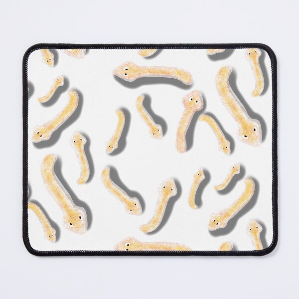 Item preview, Planaria model designed and sold by Osher-BioArt.