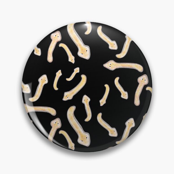 Item preview, Planaria model, black background designed and sold by Osher-BioArt.