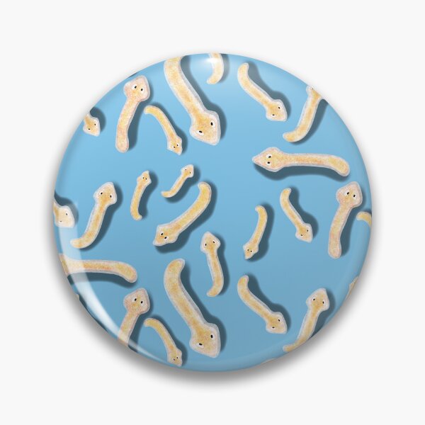 Item preview, Planaria model, bluebackground designed and sold by Osher-BioArt.