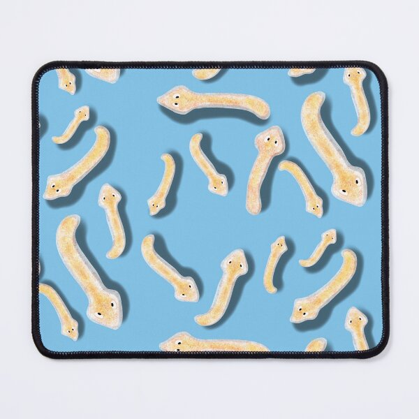 Item preview, Planaria model, bluebackground designed and sold by Osher-BioArt.
