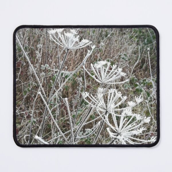 Item preview, Frosted cow parsley designed and sold by esvb.